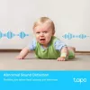 IP vaizdo stebėjimo kamera TP-Link Tapo C225 Standard