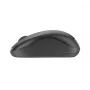 LOGITECH M240 Tylioji Bluetooth pelė - grafitas