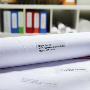 DYMO Authentic LabelWriter dideli adresų lipdukai | 36 mm x 89 mm | lipnūs | 2 ritės po 260 (520 lengvai nuplėšiamų lipdukų) | LabelWriter etikečių spausdintuvams | Pagaminta Europoje