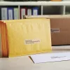 DYMO Autentiški LabelWriter dideli adresų lipdukai | 36 mm x 89 mm | Juodas spausdinimas ant skaidrių lipdukų | 2 ritiniai po 130 (260 lengvai nuimamų lipdukų) | Lipnūs | LabelWriter etikečių spausdintuvams