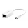 Eterneto adapteris D-Link DUB-E250 USB-C į 2.5G