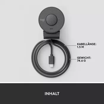 LOGITECH Brio 300 Full HD internetinė kamera - grafito spalva