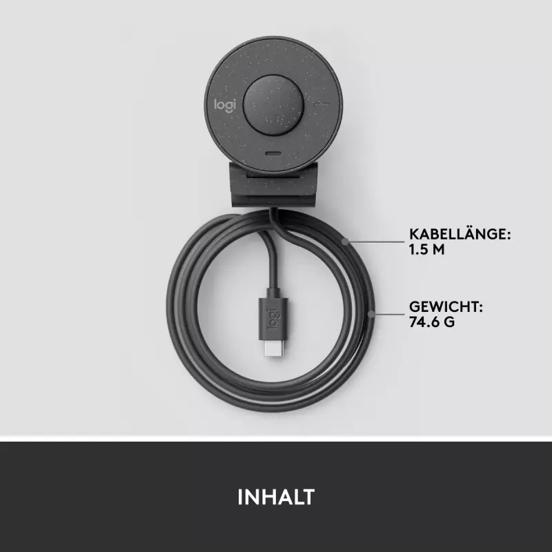 LOGITECH Brio 300 Full HD internetinė kamera - grafito spalva