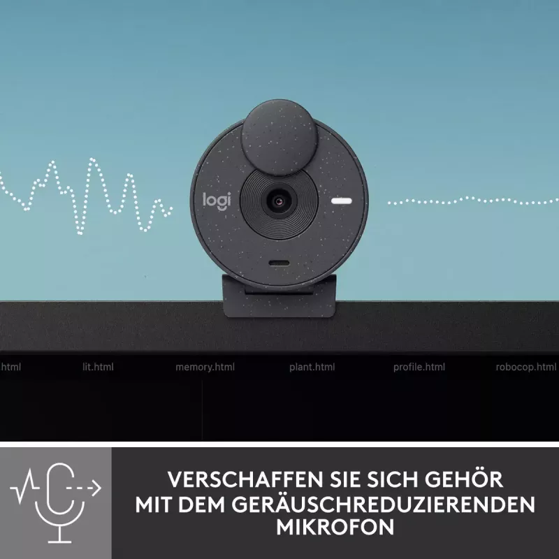 LOGITECH Brio 300 Full HD internetinė kamera - grafito spalva