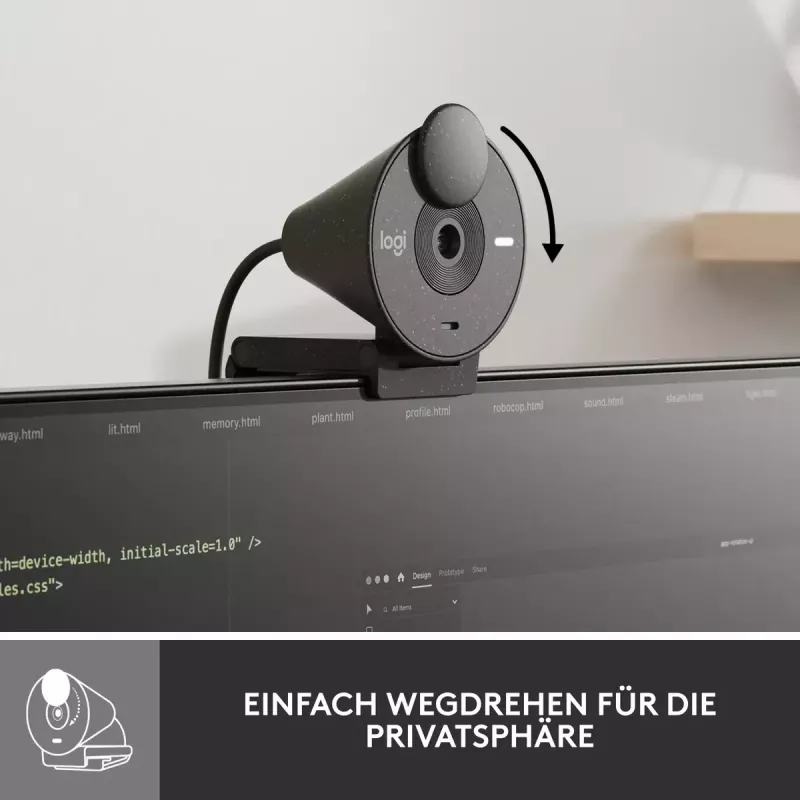 LOGITECH Brio 300 Full HD internetinė kamera - grafito spalva