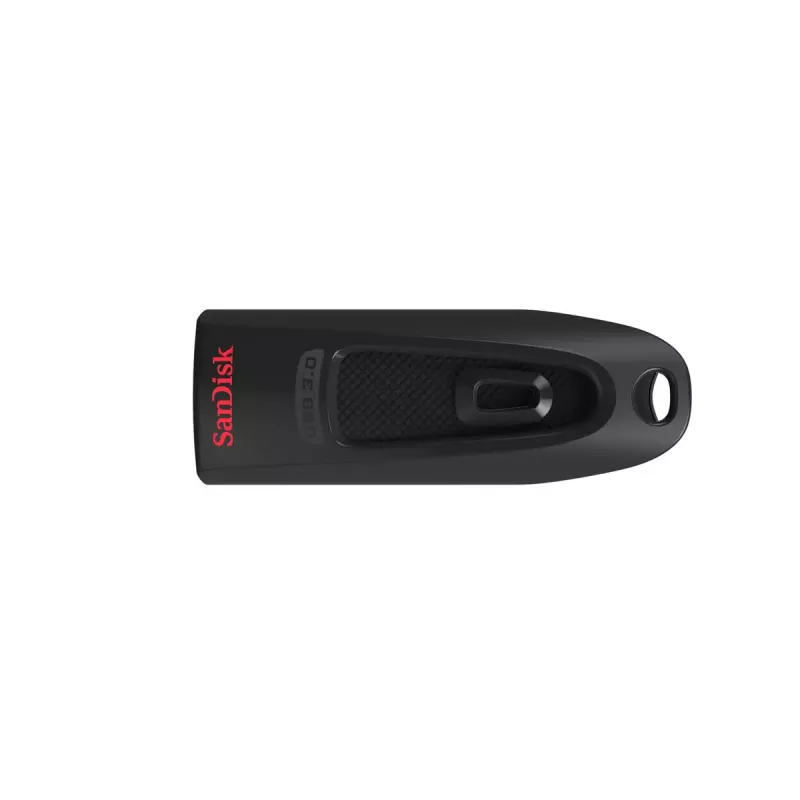 USB atmintinė SanDisk 32 GB USB Type-A 3.2 Gen 1 Juoda