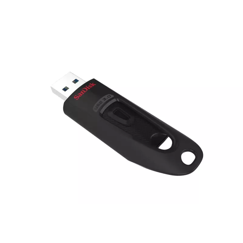 USB atmintinė SanDisk 32 GB USB Type-A 3.2 Gen 1 Juoda