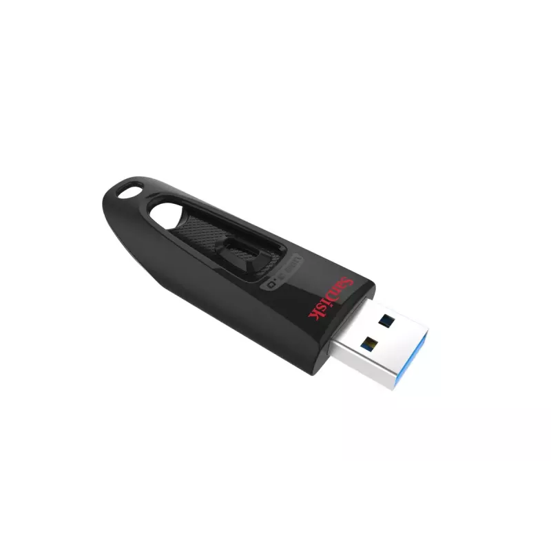 USB atmintinė SanDisk 32 GB USB Type-A 3.2 Gen 1 Juoda