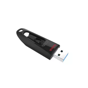 USB atmintukas SanDisk 256 GB USB Type-A 3.2 Gen 1 SDCZ48-256G-U46