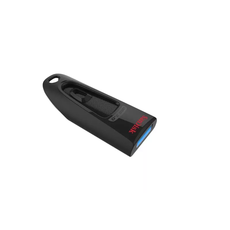 USB atmintukas SanDisk 256 GB USB Type-A 3.2 Gen 1 SDCZ48-256G-U46
