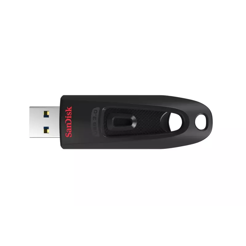 USB atmintukas SanDisk 256 GB USB Type-A 3.2 Gen 1 SDCZ48-256G-U46