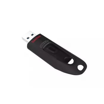 USB atmintukas SanDisk 256 GB USB Type-A 3.2 Gen 1 SDCZ48-256G-U46