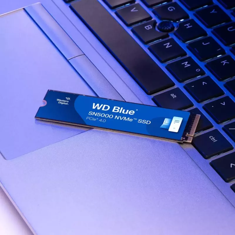 SSD diskas Western Digital 500 GB M.2 PCIe Gen4 Blue SN5000