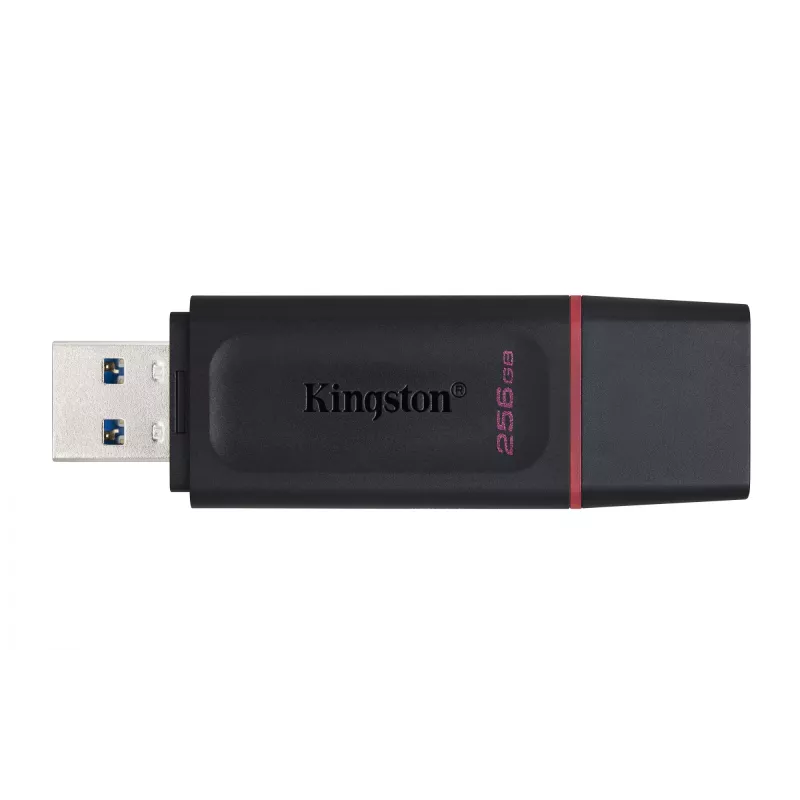 Kingston DataTraveler Exodia 256 GB USB 3.2 atmintukas