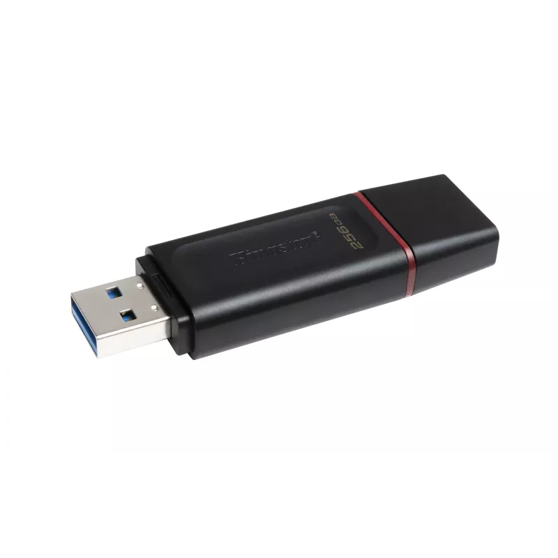 Kingston DataTraveler Exodia 256 GB USB 3.2 atmintukas