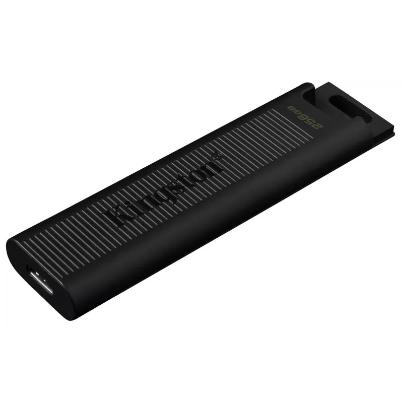 Kingston DataTraveler Max 256GB USB 3.2 Gen 2 atmintukas 1000R/900W