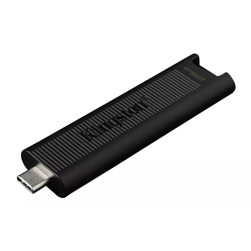 Kingston DataTraveler Max 256GB USB 3.2 Gen 2 atmintukas 1000R/900W
