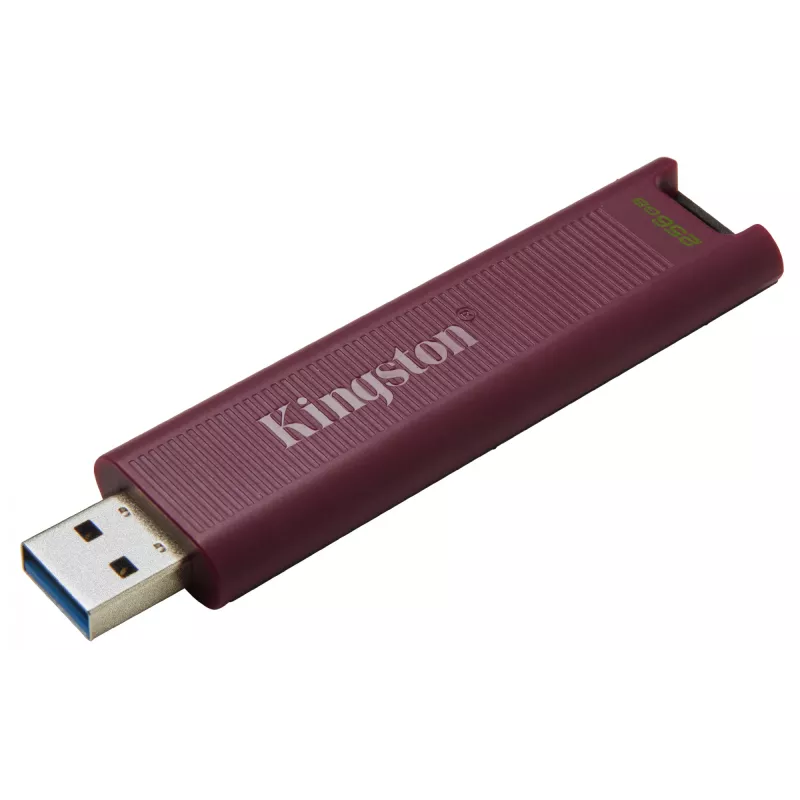 Kingston DataTraveler Max 256 GB USB 3.2 Gen 2 Tipo-A 1000R/900W