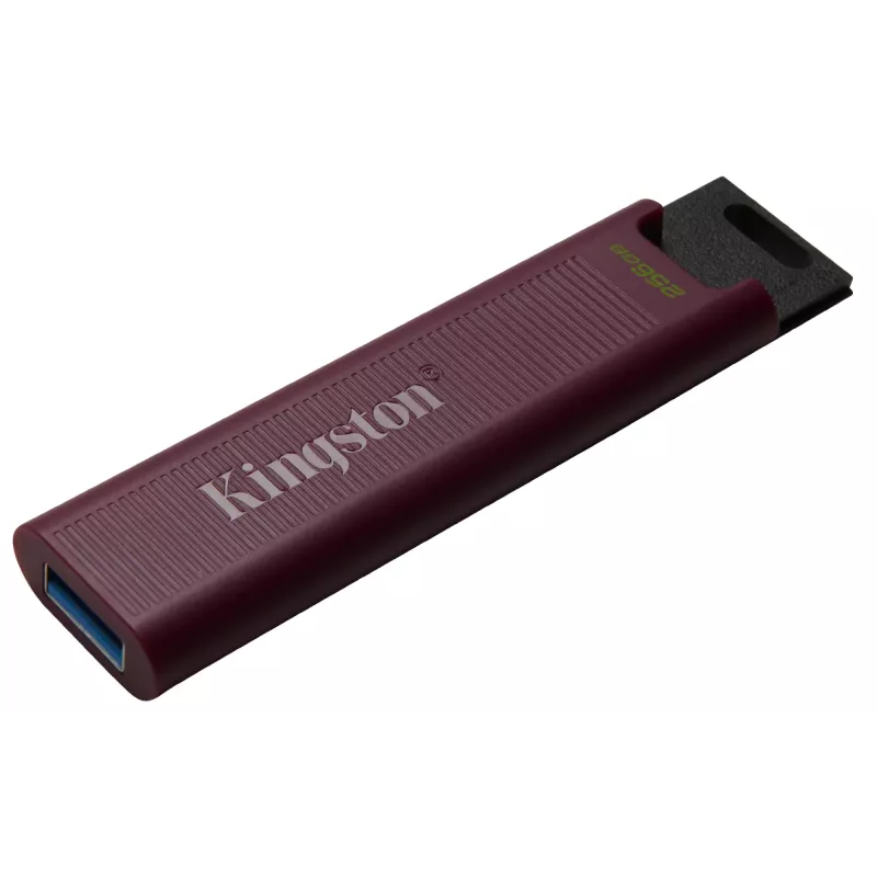 Kingston DataTraveler Max 256 GB USB 3.2 Gen 2 Tipo-A 1000R/900W