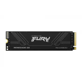 SSD diskas Kingston 1T M.2 NVMe FURY RENEGADE G5