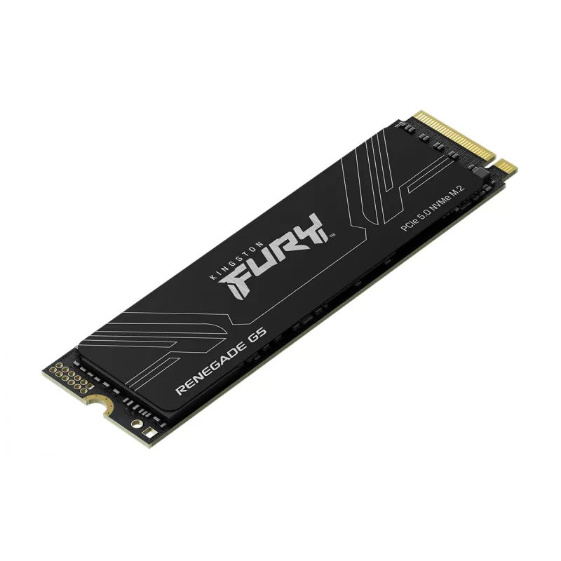 SSD diskas Kingston 1T M.2 NVMe FURY RENEGADE G5
