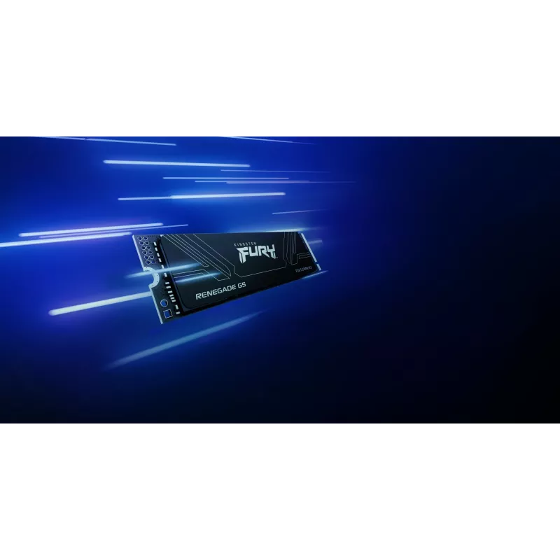 SSD diskas Kingston 1T M.2 NVMe FURY RENEGADE G5