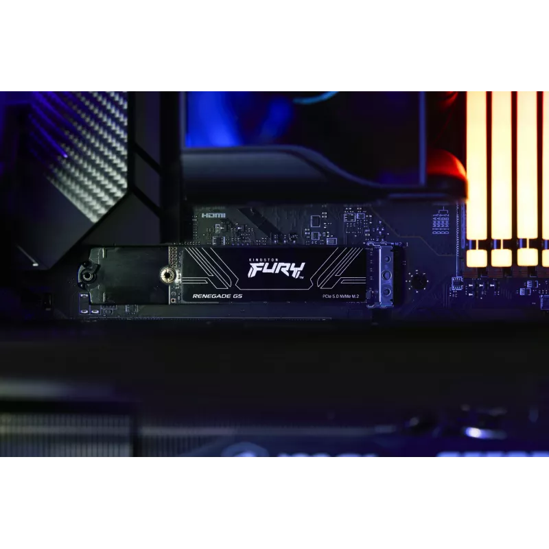 SSD diskas Kingston 1T M.2 NVMe FURY RENEGADE G5