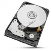 Seagate IronWolf Pro ST20000NT001 vidinis kietasis diskas 20 TB 7200 RPM 256 MB 3,5 colio