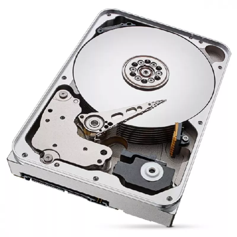 Seagate IronWolf Pro ST12000NT001 vidinis kietasis diskas 12 TB 7200 RPM 256 MB 3,5 colio Serial ATA III