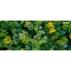 Xerox® C230 / C235 juodos spalvos didelės talpos tonerio kasetė (3000 puslapių) - 006R04391