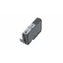 Canon PGI-9GY pilkos spalvos rašalo talpykla PIXMA Pro9500 spausdintuvui, 14 ml, 1150 psl.