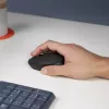 Belaidė optinė pelė Logitech B170 RF, ambidekstrinė, 3 mygtukai, juoda, 10 m veikimo atstumas, iki 12 mėn. baterijos veikimo laikas