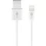 Įkrovimo ir sinchronizavimo kabelis GOOBAY Lightning į USB A 1 m, 5W / 1A, baltas