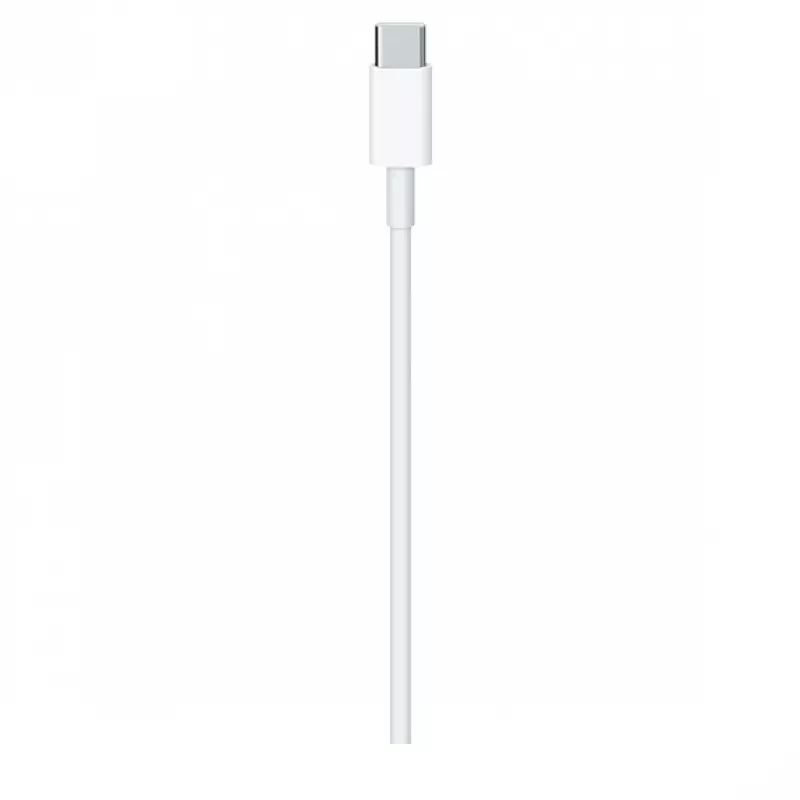 USB-C įkrovimo laidas Apple MLL82ZM/A 2m