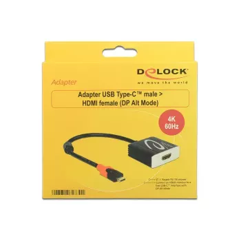 USB grafikos adapteris DeLOCK 62730