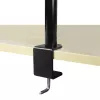 ARCTIC Z1 Basic – stalo laikiklis monitoriui, spaustuvas, 8 kg, 33 cm (13 col.), 81,3 cm (32 col.), 100 x 100 mm, juodas