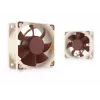 Noctua ventiliatorius NF-A6x25 PWM 60 mm, 12 V, 550–3000 RPM, 29,2 m³/h, 19,3 dB