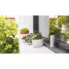Netatmo NWS01-EC skaitmeninė orų stotelė, aliuminis, baterija / USB, Wi-Fi