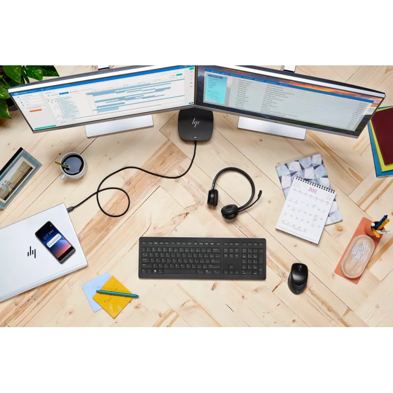 HP Wireless Premium Mouse, ambidextrinė, lazerinė, RF belaidė, 1200 DPI, juoda