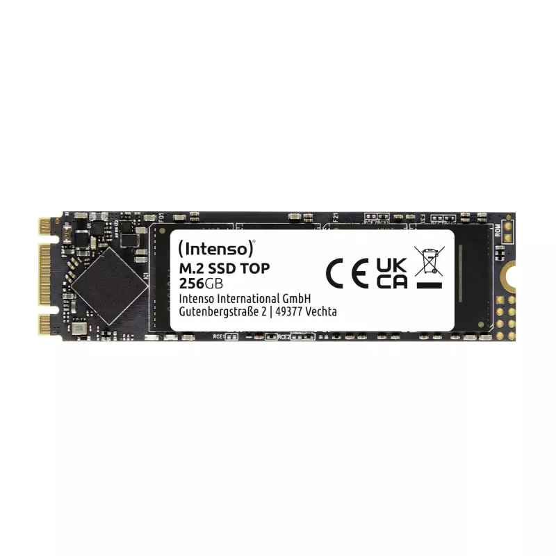 SSD diskas Intenso Top 256 GB M.2 Serial ATA III