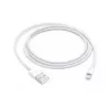 APPLE USB-A į Lightning laidas 1 m (MXLY2ZM/A)