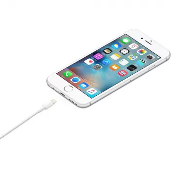 APPLE USB-A į Lightning laidas 1 m (MXLY2ZM/A)