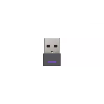 LOGITECH Zone Wireless - USB-C / USB-A - Ausinės - MSFT Teams Zone - Juodos