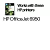 Originalūs HP 903 rašalinės kasetės 4 vnt. (juoda, mėlyna, raudona, geltona)