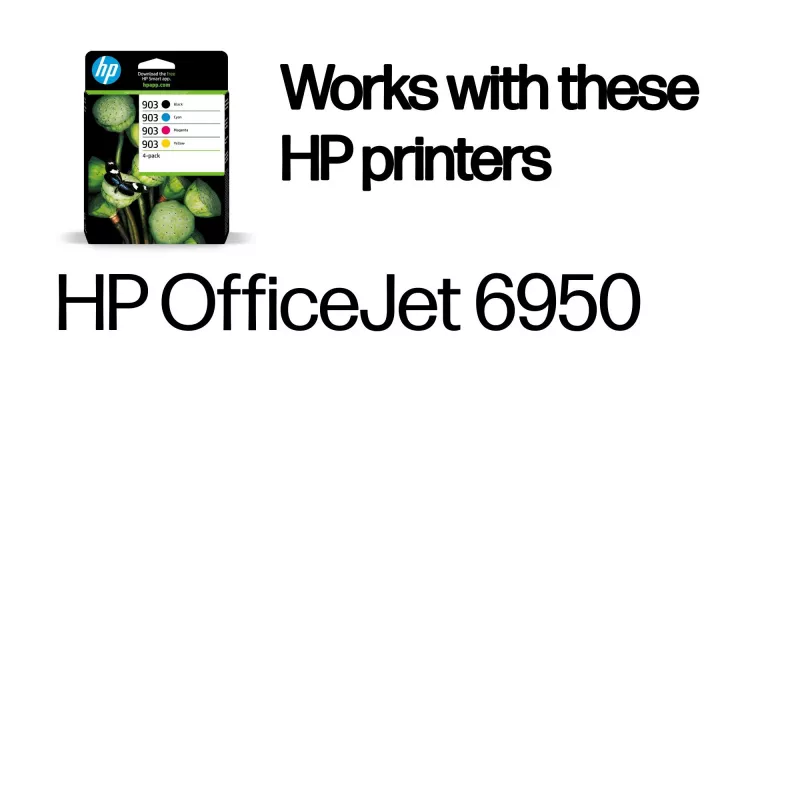 Originalūs HP 903 rašalinės kasetės 4 vnt. (juoda, mėlyna, raudona, geltona)