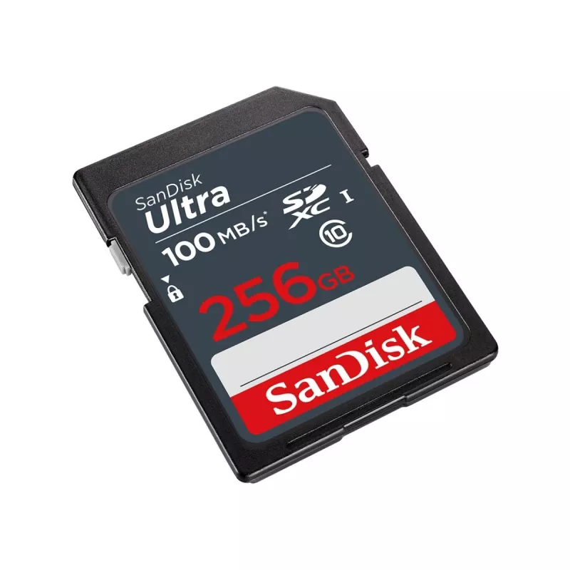 „SanDisk 256GB SDXC UHS-I Class 10 SDSDUNR-256G-GN3IN“ atminties kortelė
