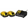 Belaidžių įrankių rinkinys DeWalt DCK266P2T — 18V, 2×5.0Ah akumuliatoriai, atraminis gręžtuvas ir kombinuotas gręžtuvas, įkroviklis, dėklas
