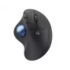 Pelė Logitech ERGO M575 for Business RF Wireless + Bluetooth