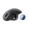 Pelė Logitech ERGO M575 for Business RF Wireless + Bluetooth