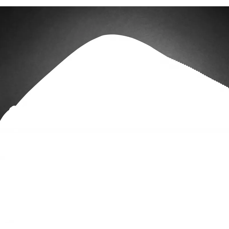 Dėklas nešiojamam kompiuteriui HP Professional 15,6 col. portfelis monochromatinis